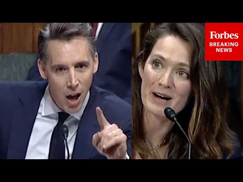 'I Understand You Hate The President': Josh Hawley Mercilessly Grills Professor Over Injunctions
