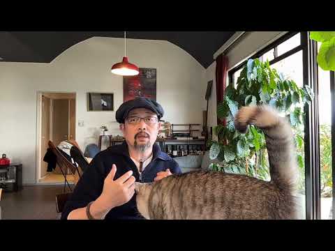 兄弟我还是懂中国：官方出手阻击“1644史观”；圣上提“分配制度改革”：他扯淡、您一听就完了，底层的基础逻辑改不了｜吃瓜蒙主｜反清复明｜习近平｜求是｜