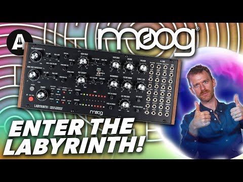 Moog Labyrinth - A Generative Mutating Synthesizer!