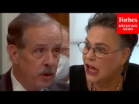 'Who Goes To Jail...Do You?': Harriet Hageman Grills FWS Official On Agency's Law Violation