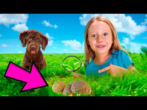 Nastya and dad family tours around the world - Video series for kids