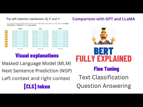 BERT explained: Training, Inference,  BERT vs GPT/LLamA, Fine tuning, [CLS] token