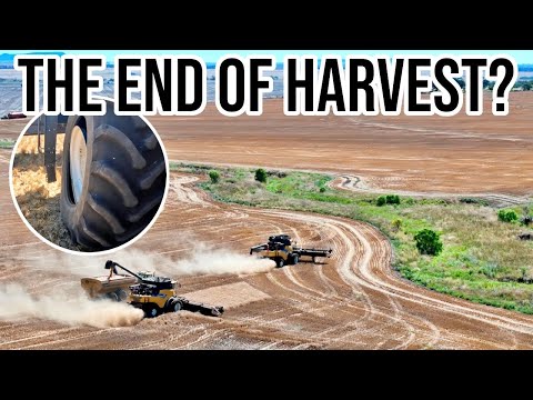 Harvest is Done! | Harvest 2024 | Vlog 341