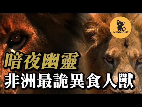 兩隻惡獸結伴吃人，100多人命喪黃泉，嚇跑馬賽人，恐怖的食人惡魔