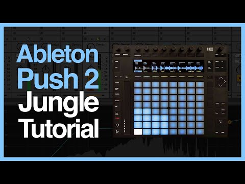 How To Make Jungle On Push 2 - Ableton Live