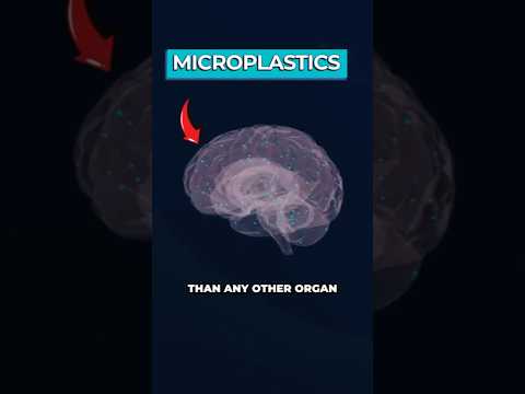 Scientists Discover "Unbelievable” Levels of Microplastic in Human Brains