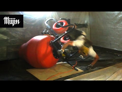 How to not DIY your concrete basement floor