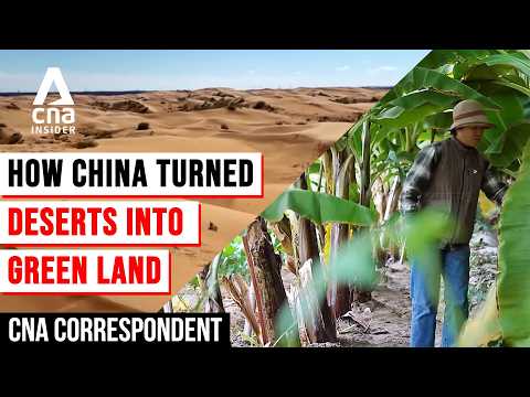 How China Turned Inner Mongolia's Deserts Into Green Land | CNA Correspondent