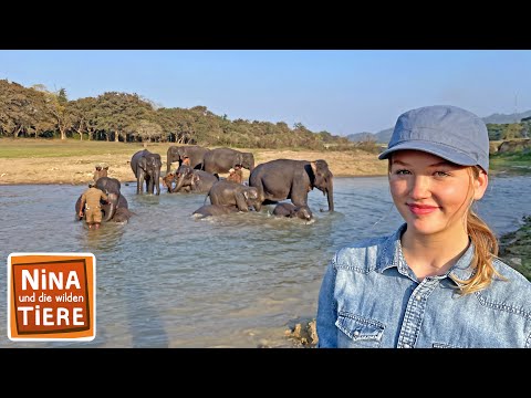 Badespaß mit indischen Elefanten | Reportage für Kinder | Nina und die wilden Tiere