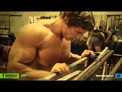 Cхема Арни '14. Масса! [перевод от Михаила и Антона]