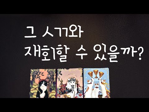 [실버타로] 그 인간과 재회할 수 있을까?🔥분노의리딩🔥