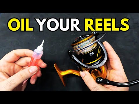 How to Properly Oil Your Fishing Reel (and What NOT to Do)