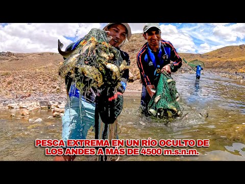 ¡Wou! Capturamos MUCHOS PECES en un río oculto de los ANDES y esto COCINAMOS a mas de 4500 m.s.n.m.