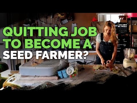 Quitting Your Job to Farm Seeds For a Living? 🌱