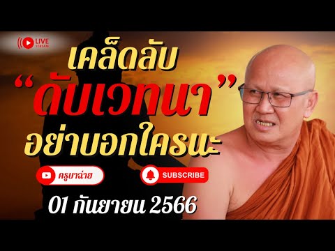 เคล็ดลับ ดับเวทนา อย่าบอกใครนะ 01/09/66 #พระสิ้นคิด