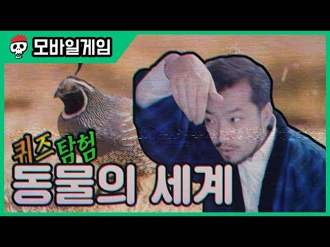 ⟪동물 퀴즈⟫ 퀴즈 탐험 동물의 세계