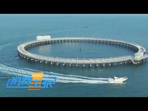 中国水产品产量 33 年霸榜全球！深蓝“食”力开启海洋经济新巅峰！《消费主张》 20250707 |  财经风云