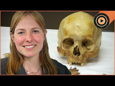 The Vanished World Of Tudor Britain | Digging For Britain