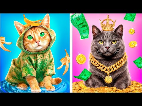 Строим домик для животных! Бедный vs богатый!