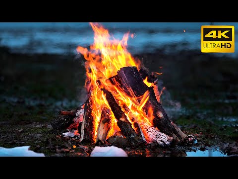 🔥Riverside Oasis: 10 Hours of Campfire Bliss and Crackling Harmony 🔥 Retreat with Campfire Ambiance
