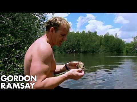 Gordon Ramsay Fishes For Oysters | Gordon's Great Escape