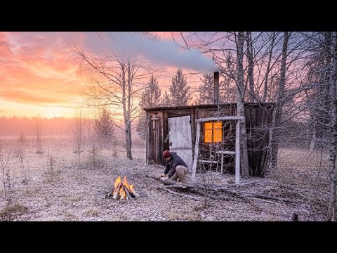 Forest Hut. From Golden Leaves to the First Snow
