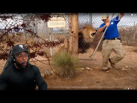 Animal Encounters But They Get Crazier AND CRAZIER Reaction!