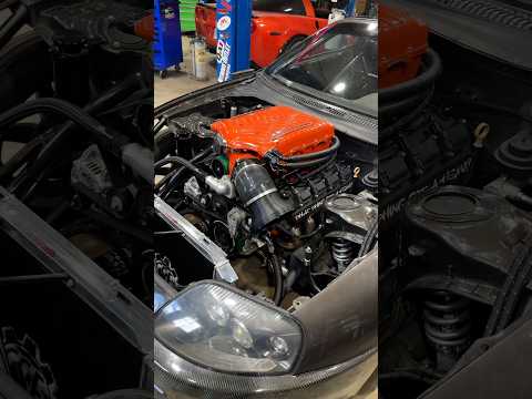 The Hellephant Supra Sounds WICKED