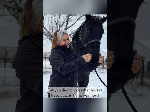 No it doesn’t hurt them - he’s probably just confused why I’m sticking my icy fingers in his nose😂