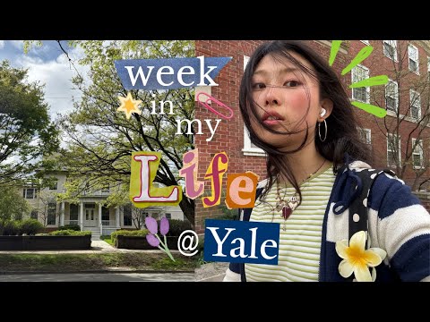 uni vlog @ yale 🌼 | productive week, writing essays, hanging w friends