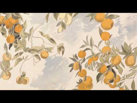 Summertime Vintage Art   Oranges   TV SCREENSAVER    NO MUSIC   8 HOURS