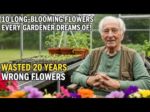 10 Longest-Blooming Perennial Flowers That Keep Your Garden Alive – Discover & Grow Today!