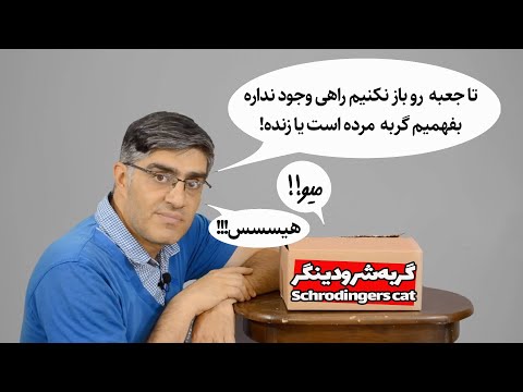 ENG Sub-آزمایش گربه شرودینگر اون چیزی نیست که شما فکر می‌کنید Schrodingers cat is not what you think