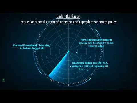 Reproductive Rights in Review: Law/Policy Developments in the Trump Administration with Jessie Hill