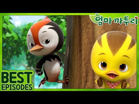 엄마 까투리 | Best | 날아다니는 친구들을 소개합니다! | 베스트 에피소드 모음