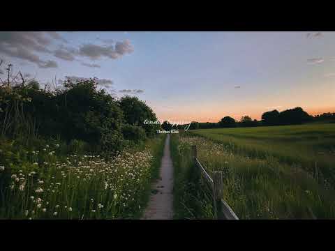 a playlist for quiet summer evenings