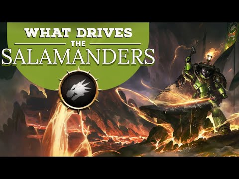 Everything You Need to Know About The Salamander | Ep.51
