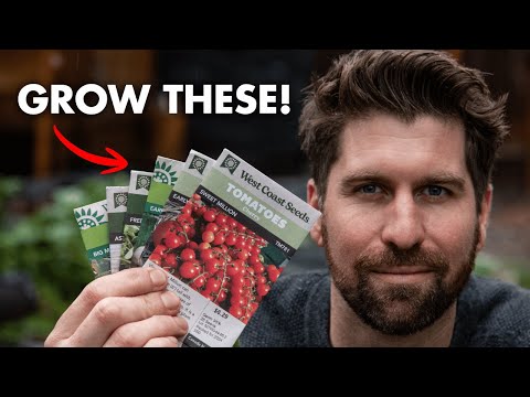 The 12 Best Crops to Feed Your Family in 2026