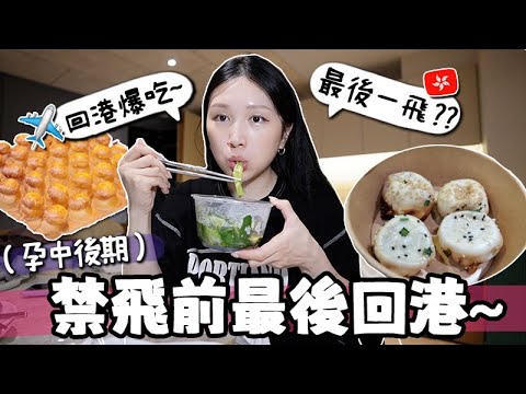 VLOG🇭🇰 趕在禁飛前最後回港~又要轉韓國簽證? 終於吃到爆紅菠蘿包雞蛋仔?! 超推薦的香港住宿！🐝 Mira 咪拉