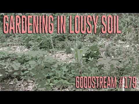 Gardening in Lousy Soil (Goodstream #179)