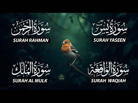 The Best Recitation Surah Yaseen (Yasin) | Surah Rahman | Surah Waqiah | Surah Mulk