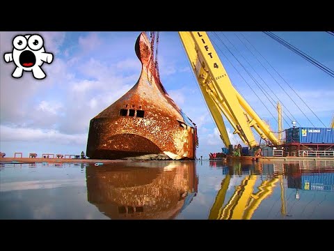 Die Teuersten Fehler Der Geschichte