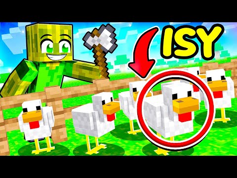 VERSTECKEN SPIELEN als TIERE! 🌸 Minecraft