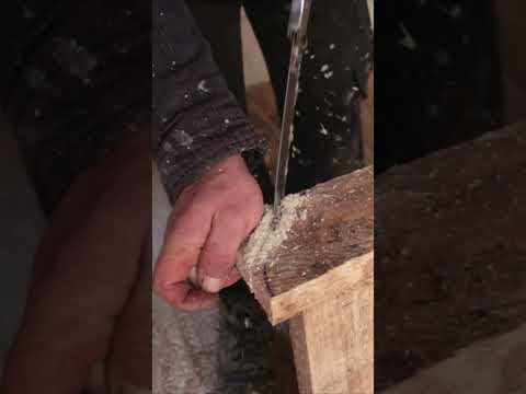 Bushcraft skills #bushcraft #survival #camping #outdoors #lifehacks #forest Part 10