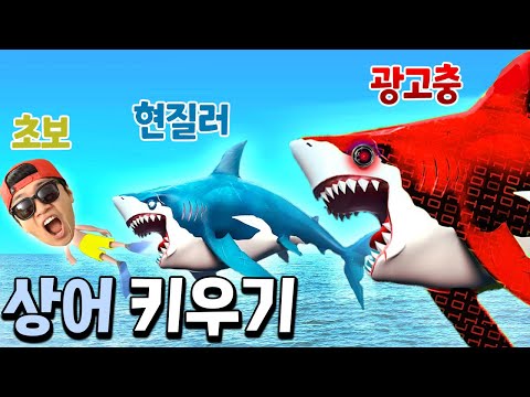 상어가 진화를 한다?! 광고, 현질 없이 랭킹 1위 찍는 방법 대공개! _ 샤크샤크 진화론
