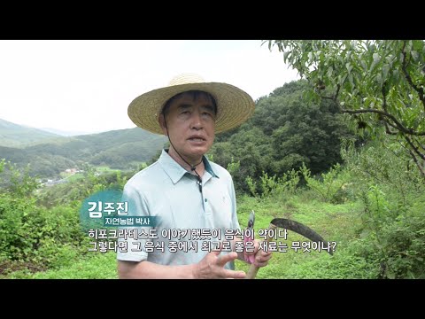 혜림원의 자연농법 현장