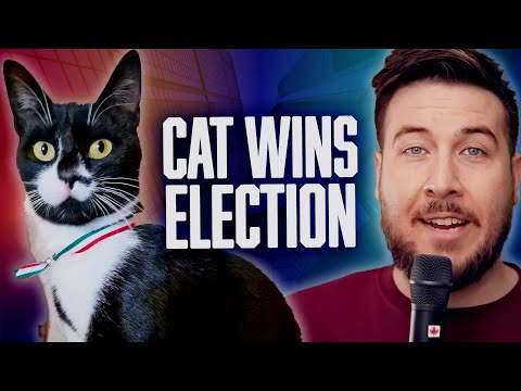 News That Won't Give You A Panic Attack