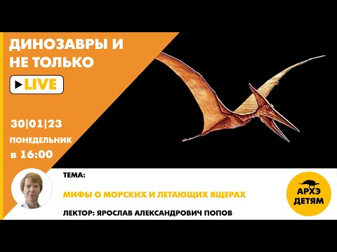 Занятие "Мифы о морских и летающих ящерах" кружка "Динозавры и не только" с Ярославом Поповым