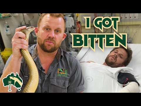 Bitten By Deadly King Brown Snake | Venom Diaries