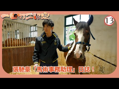 TVB綜藝 | 張馳豪「馬術事務助理」日誌 | 張振朗 | 劉佩玥 | 龔嘉欣 | 一日打工限定 13/15 | 粵語中字 | 2025